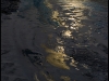 l1002888r