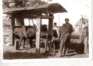 06_marechalferrant_1