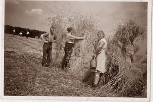 06_chamblesles-foins