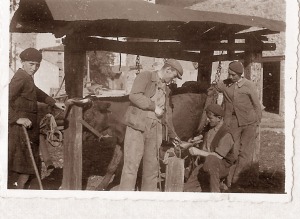 06_marechal-ferrant_2